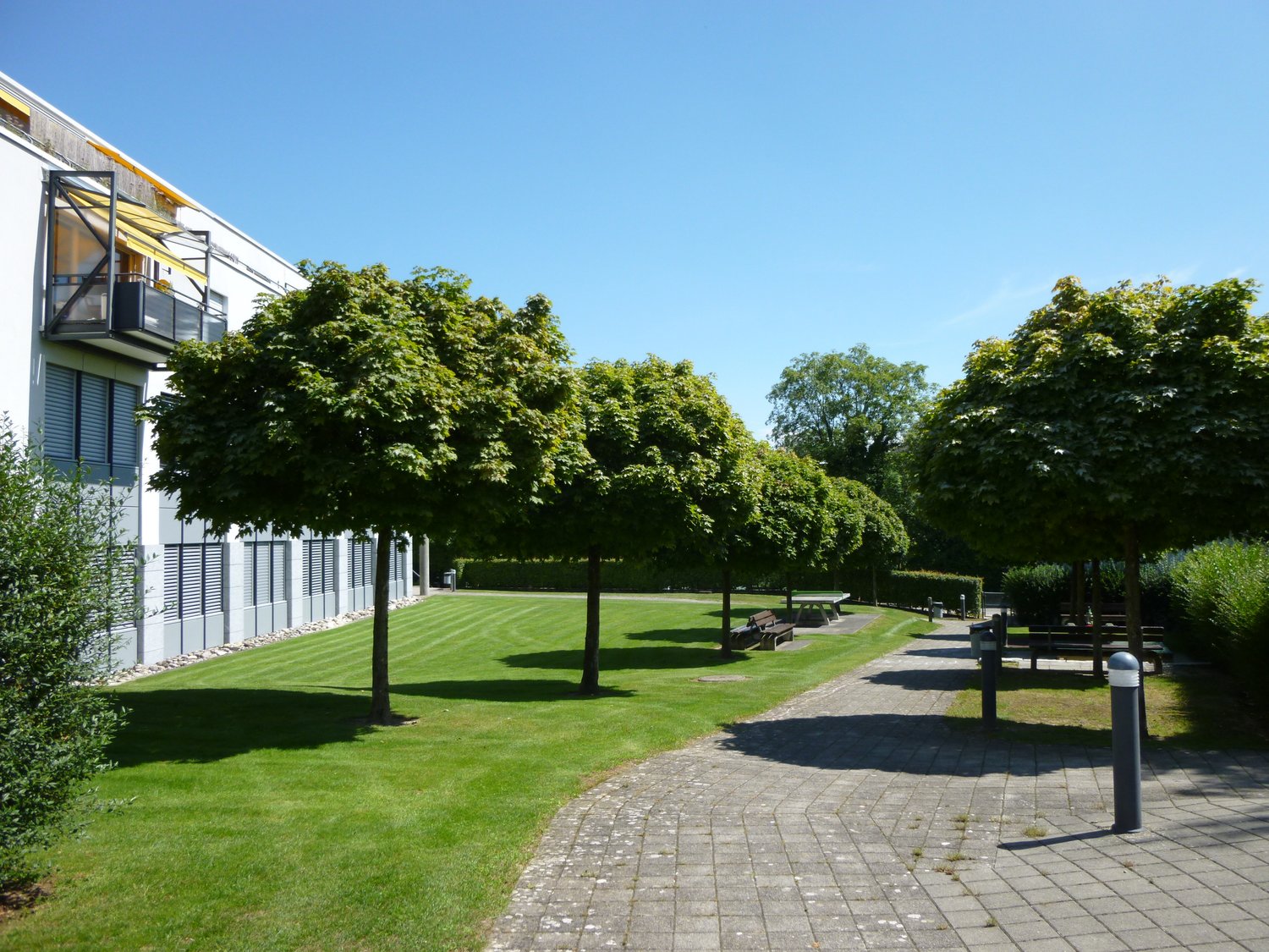 Appartamento di 3 ½ locali