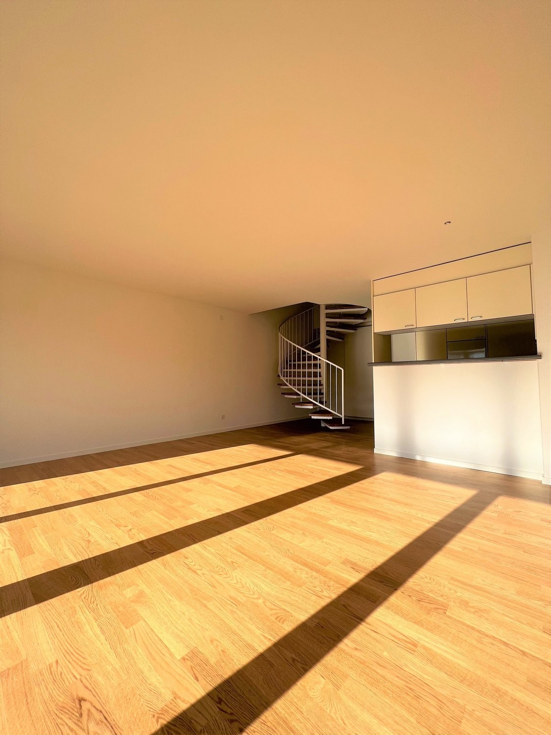 4 ½ rooms duplex