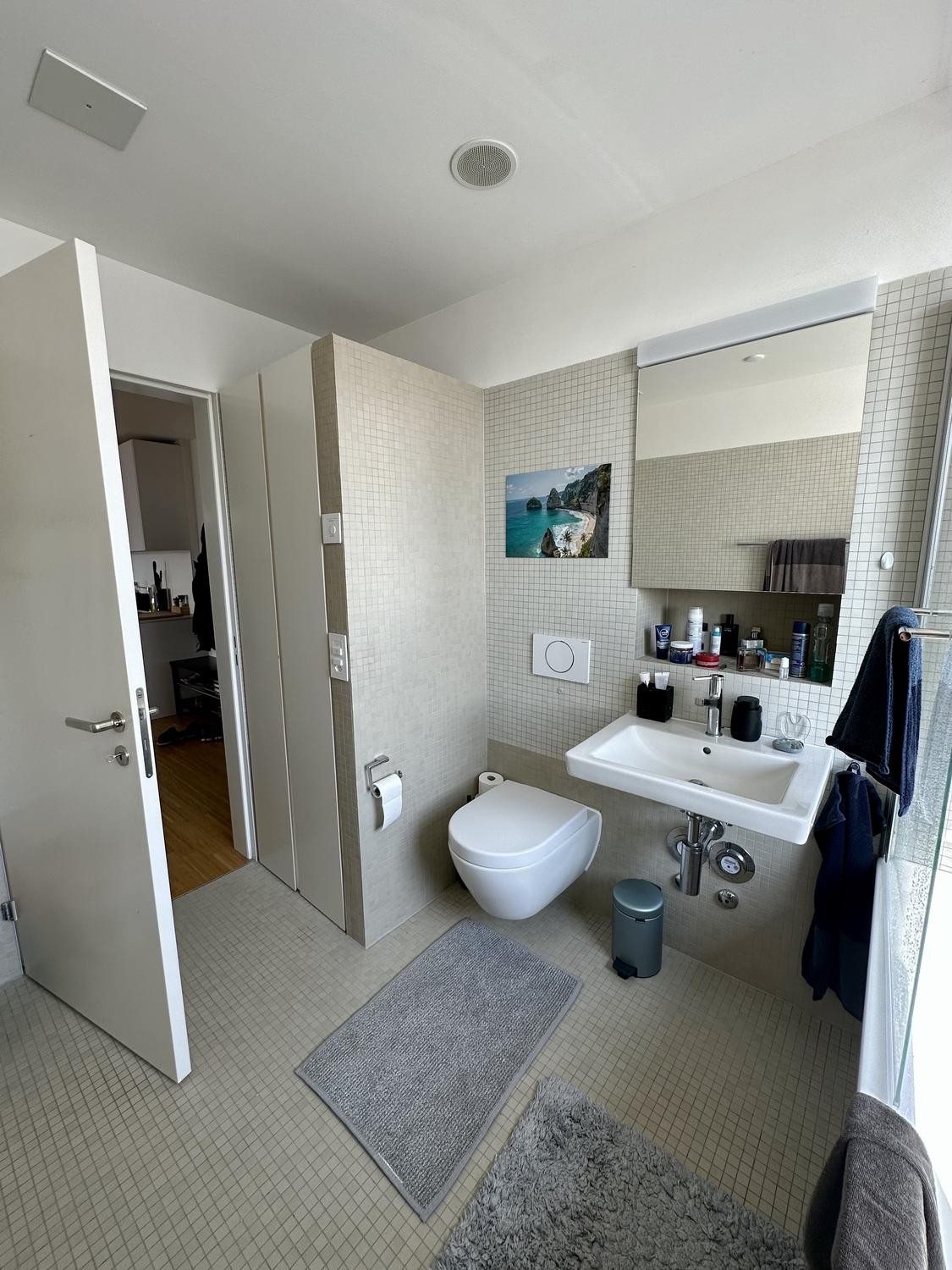 Appartement de 2 ½ pièces