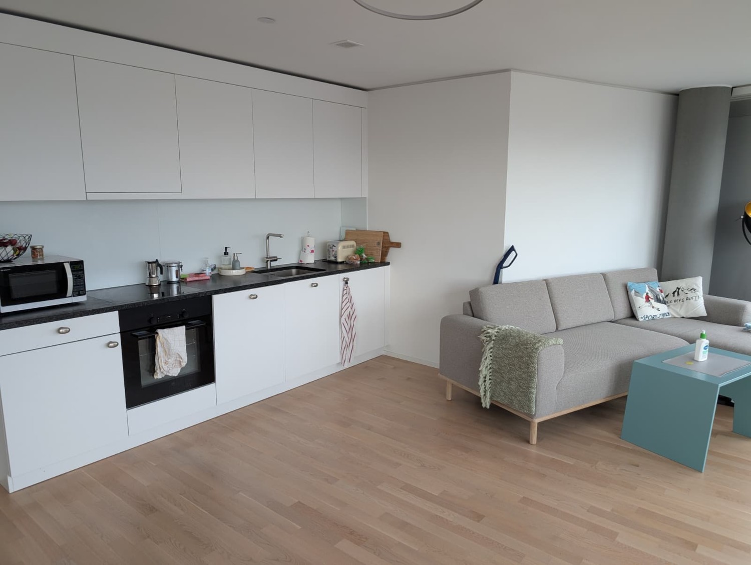 Appartement de 3 ½ pièces