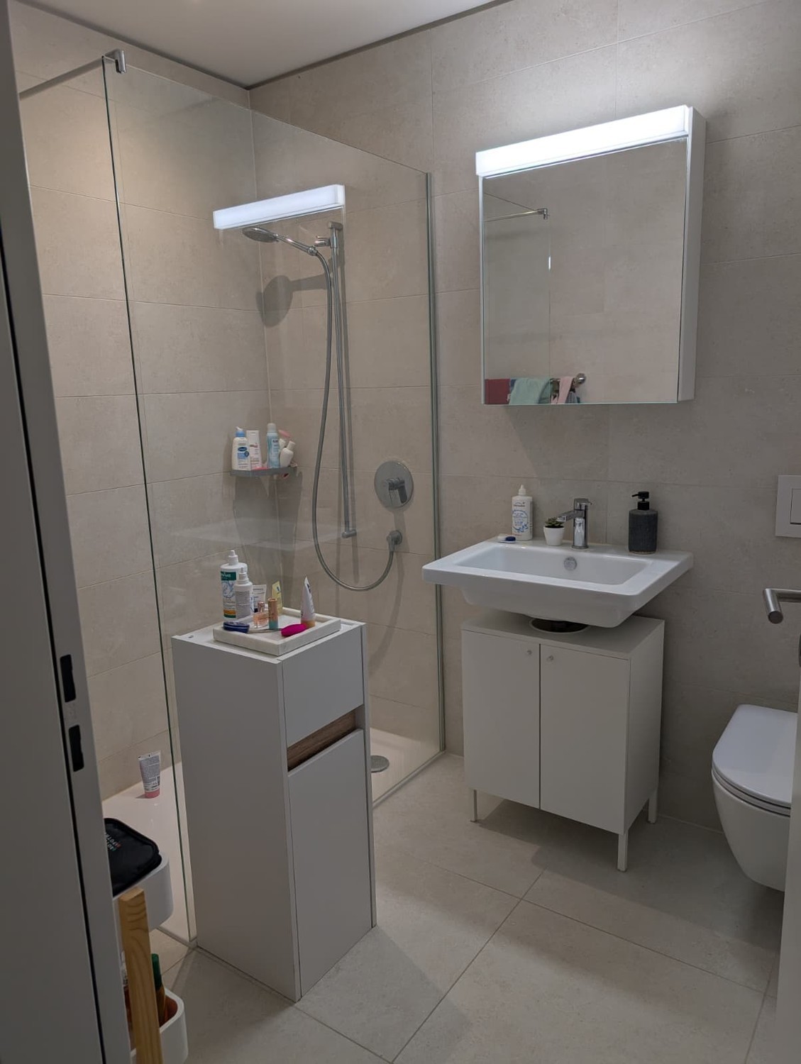 Appartement de 3 ½ pièces