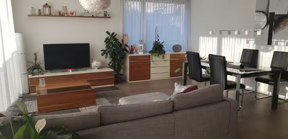 4 ½ rooms apartment