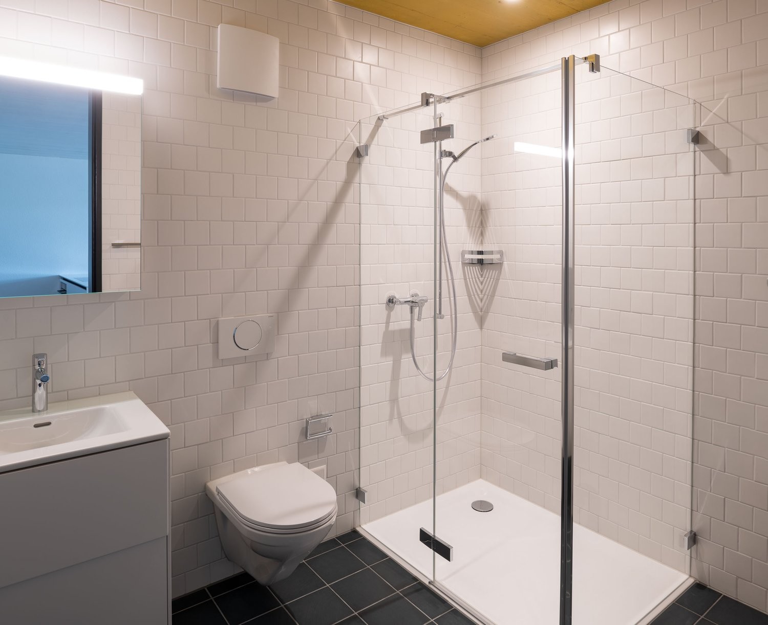 Appartement de 3 ½ pièces