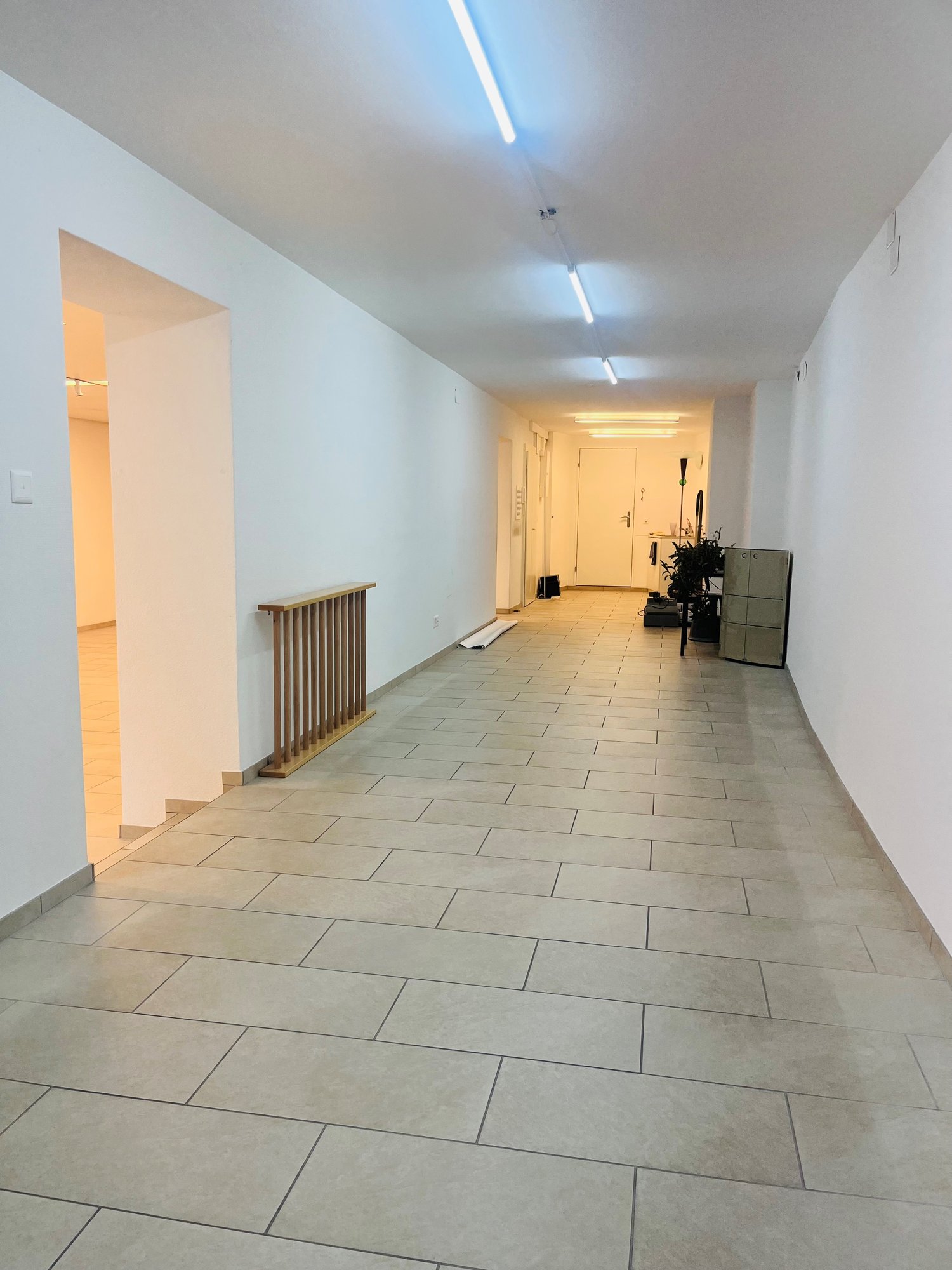 170m² commerciale