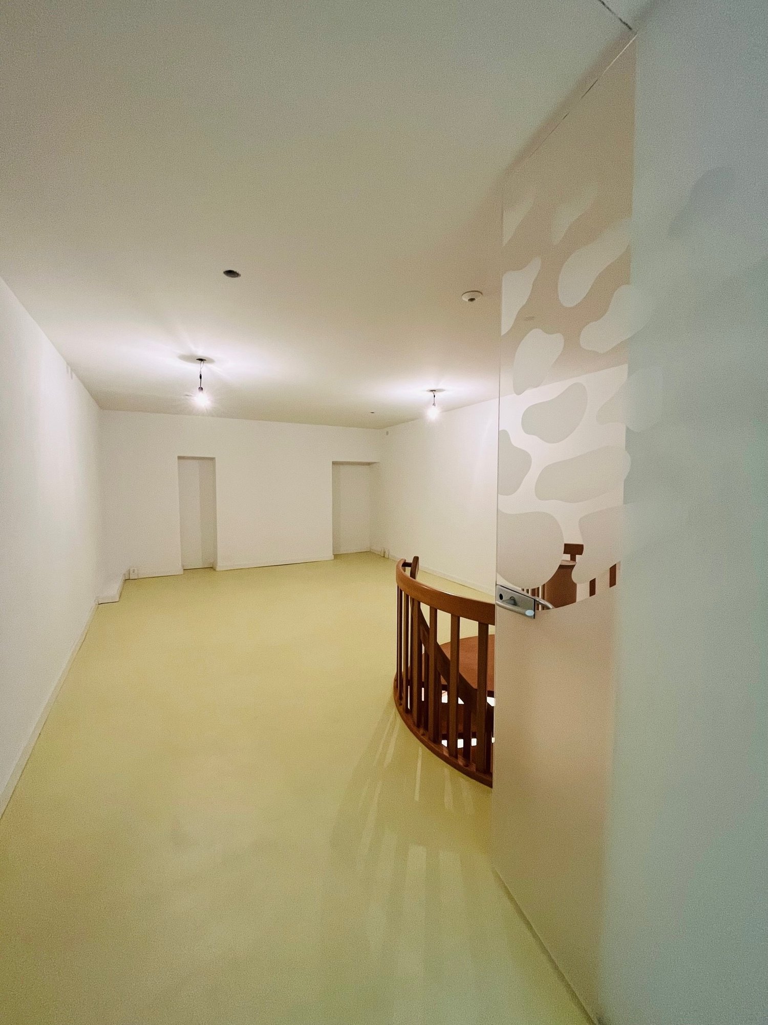 170m² commerciale