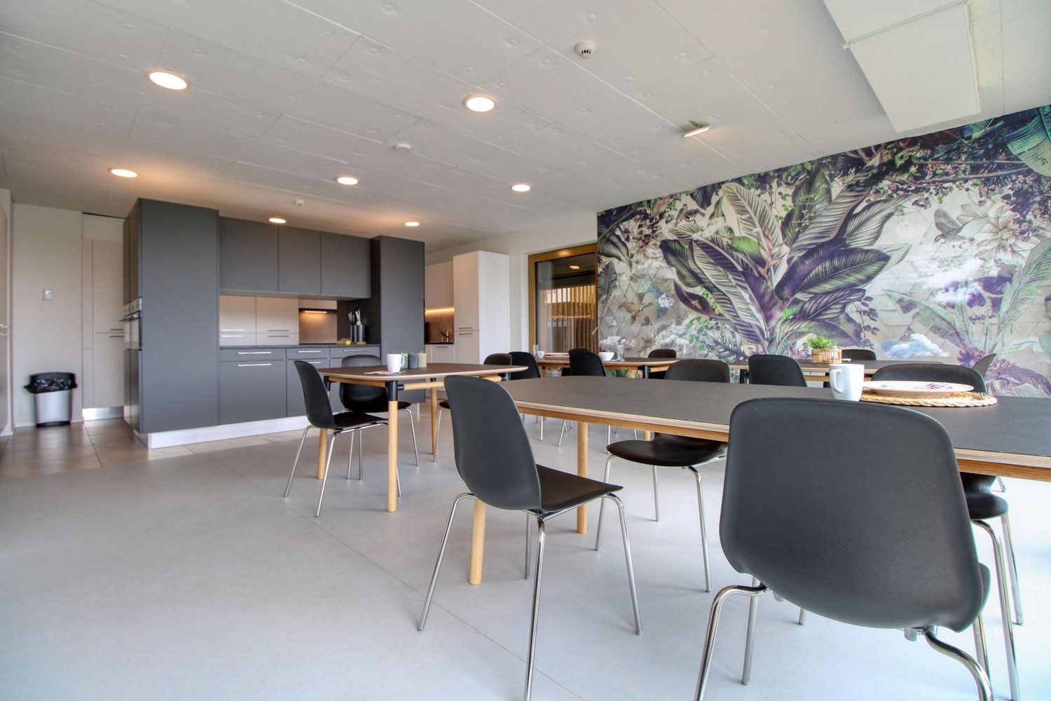 Chambre en colocation