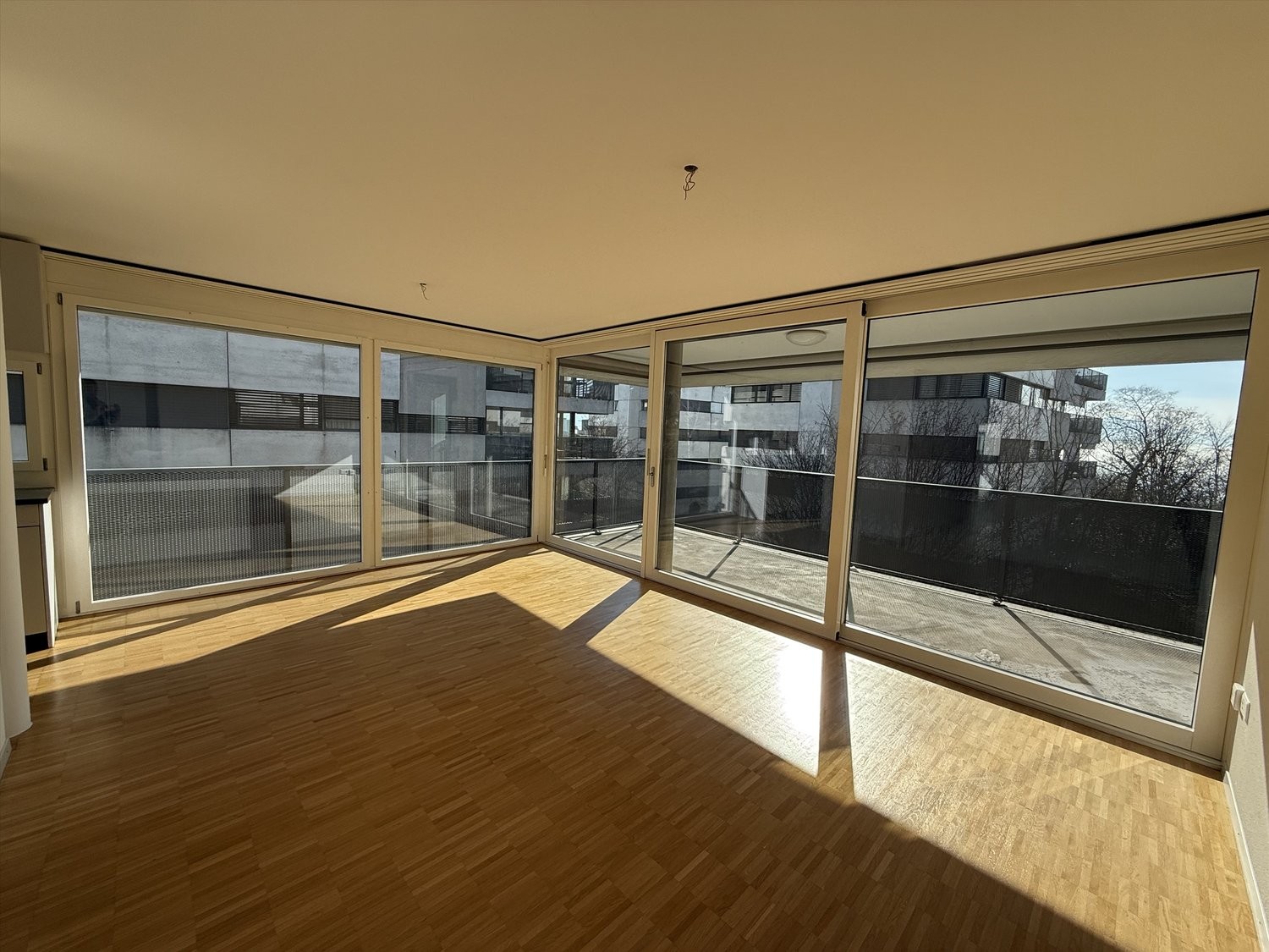 4 ½ Zimmer Wohnung