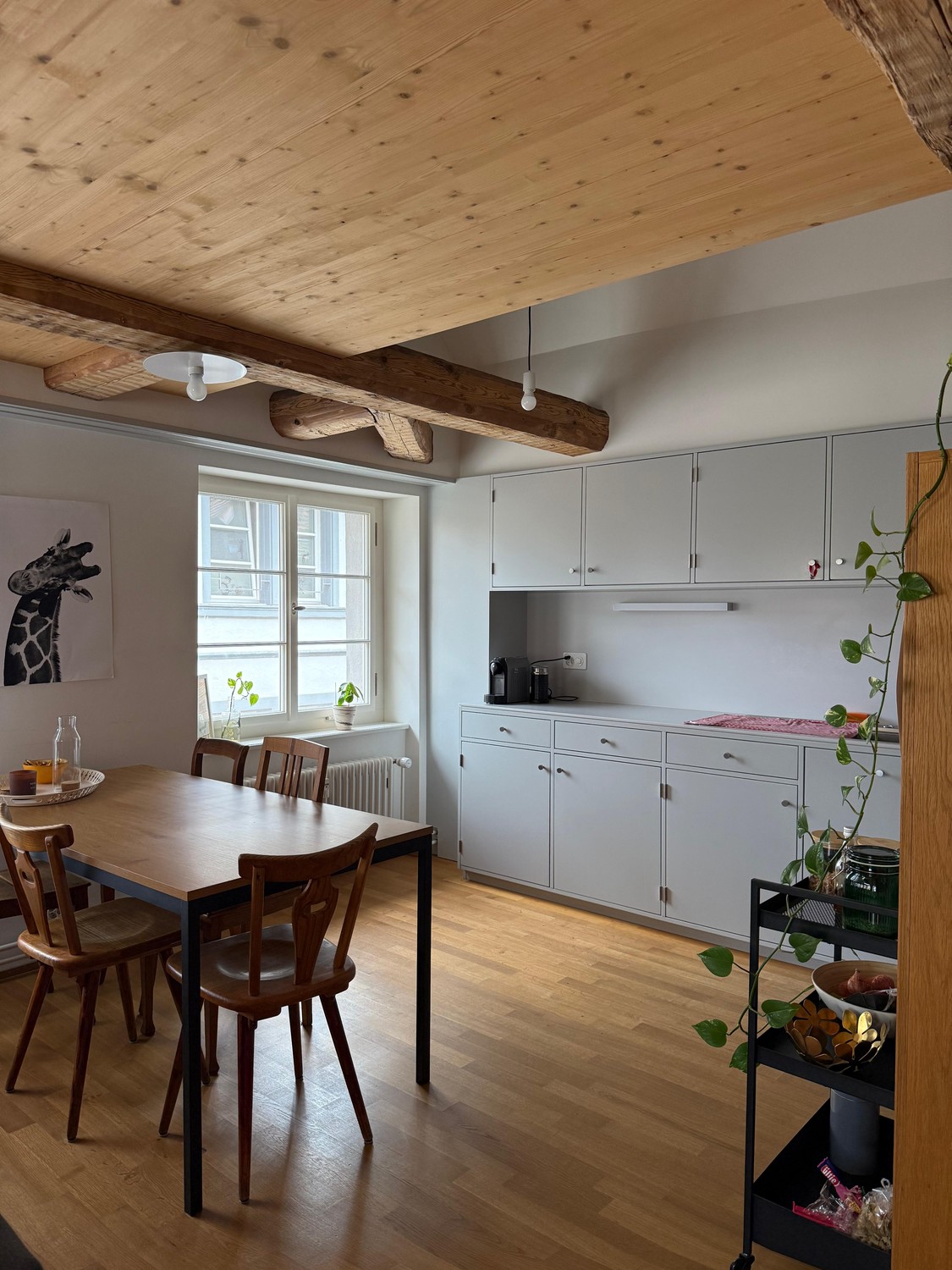 Room in a shared flat