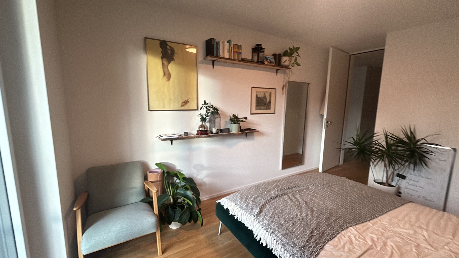 Room in a shared flat