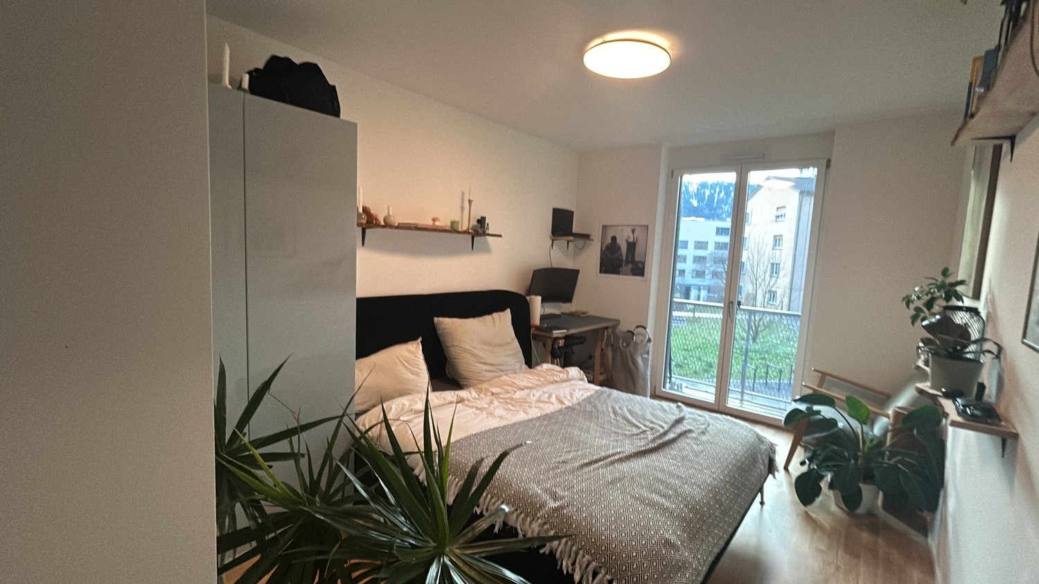 Room in a shared flat