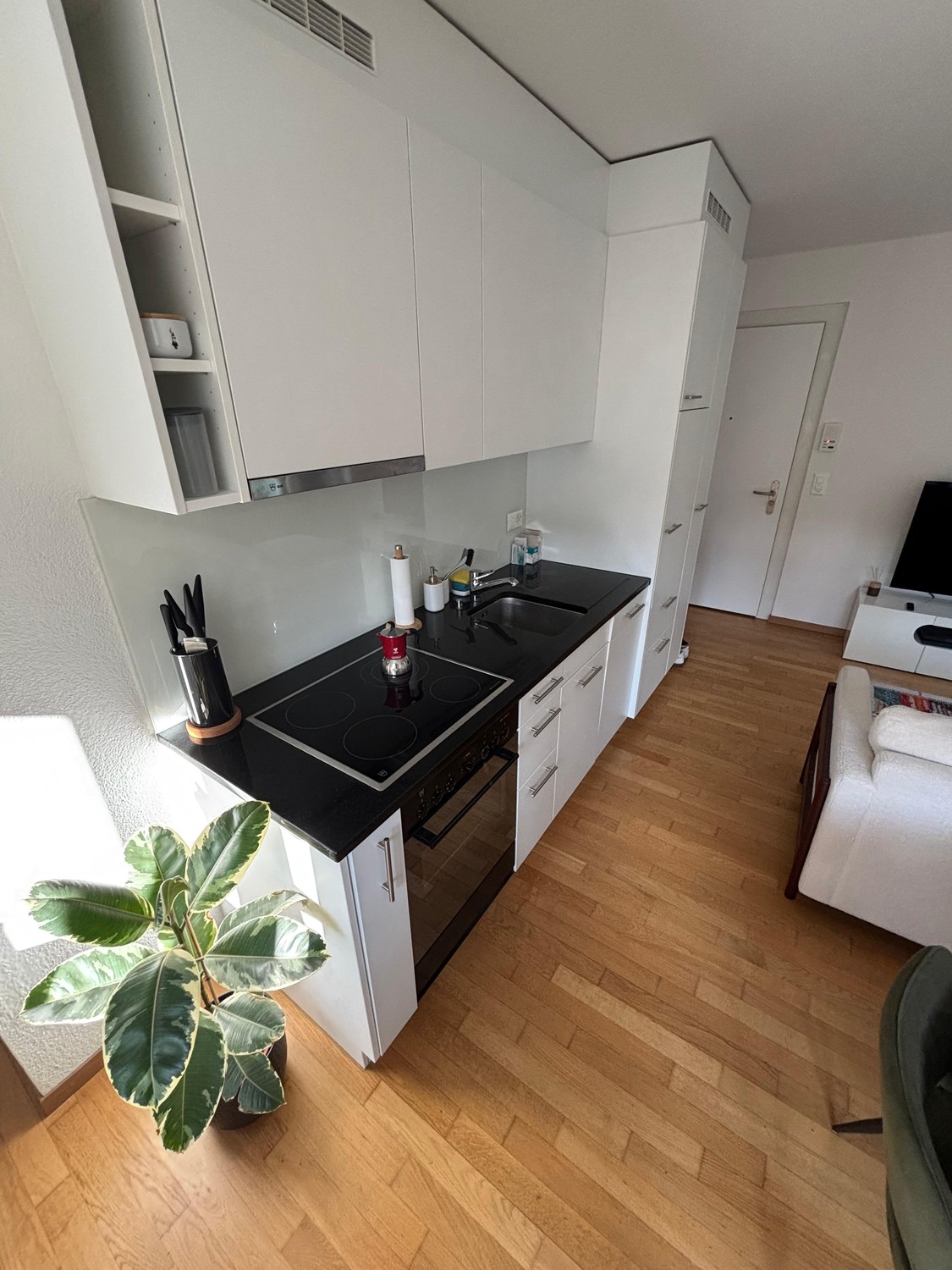 Appartamento di 2 ½ locali