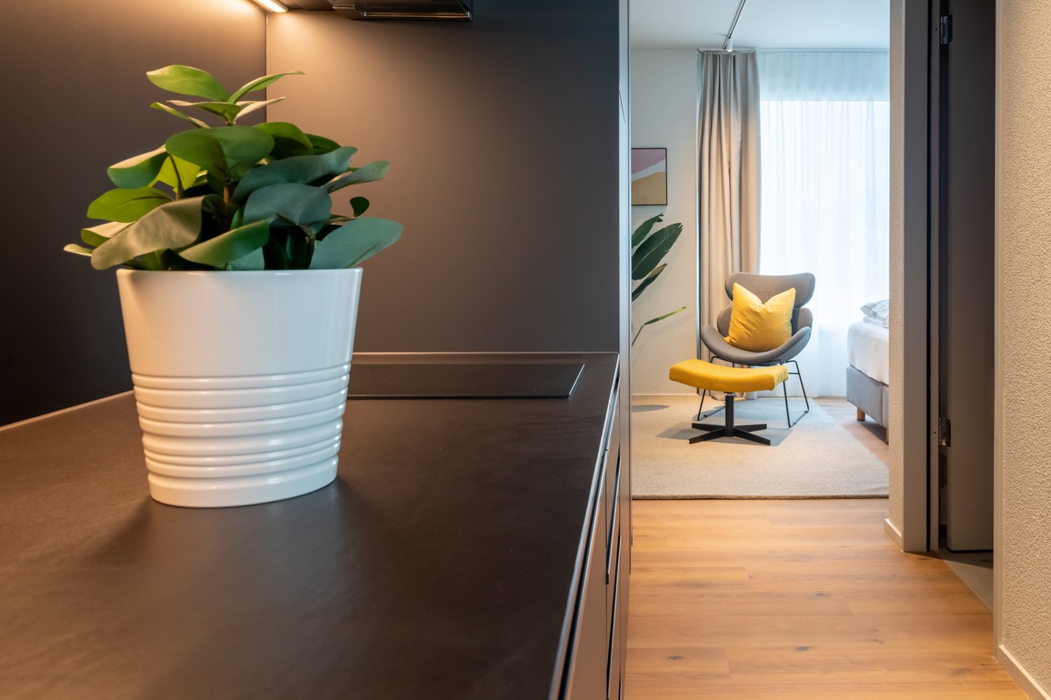 1 ½ pièces appartement meublé