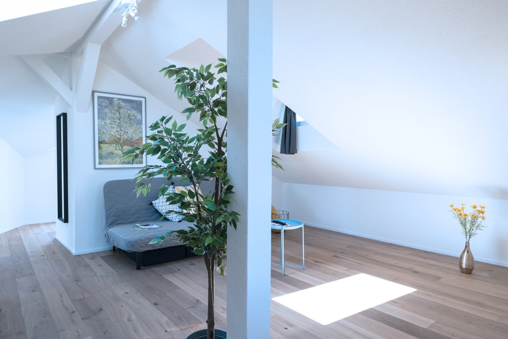 appartamento arredato di 3 ½ locali