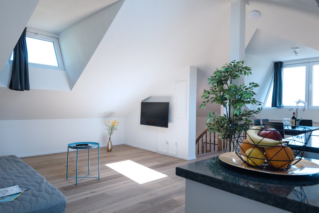 appartamento arredato di 3 ½ locali