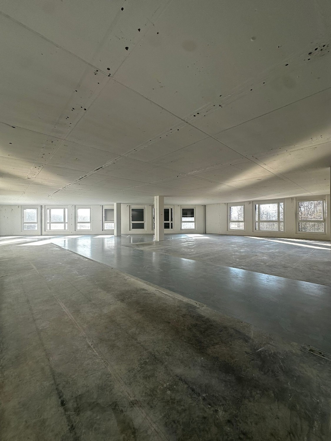 303m² commerciale