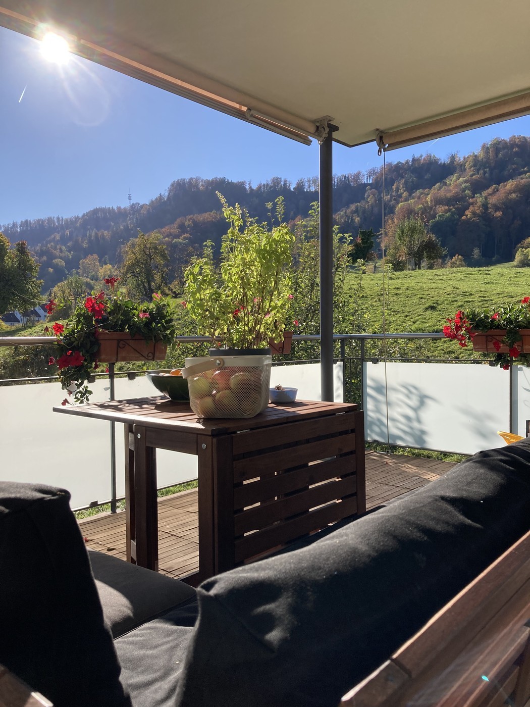 Bright 4.5-room apartment with dream views – Zurich 8041