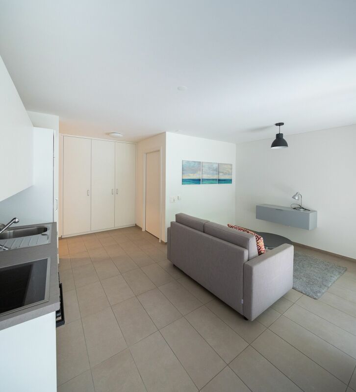 Appartement de 1 ½ pièces meublé - disponible à partir du 1er novembre 2026 

Idéal comme première location - Appartement moderne et accueillant de 1,5 pièces, composé ainsi : 

  * Entrée avec armoire murale   
  cuisine entièrement meublée ouverte sur la zone jour / nuit 
  * zone jour / nuit 
  *