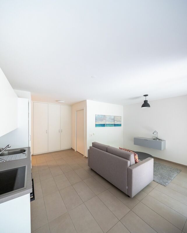 Appartement de 1 ½ pièces meublé - disponible à partir du 1er novembre 2026 

Idéal comme première location - Appartement moderne et accueillant de 1,5 pièces, composé ainsi : 

  * Entrée avec armoire murale   
  cuisine entièrement meublée ouverte sur la zone jour / nuit 
  * zone jour / nuit 
  *