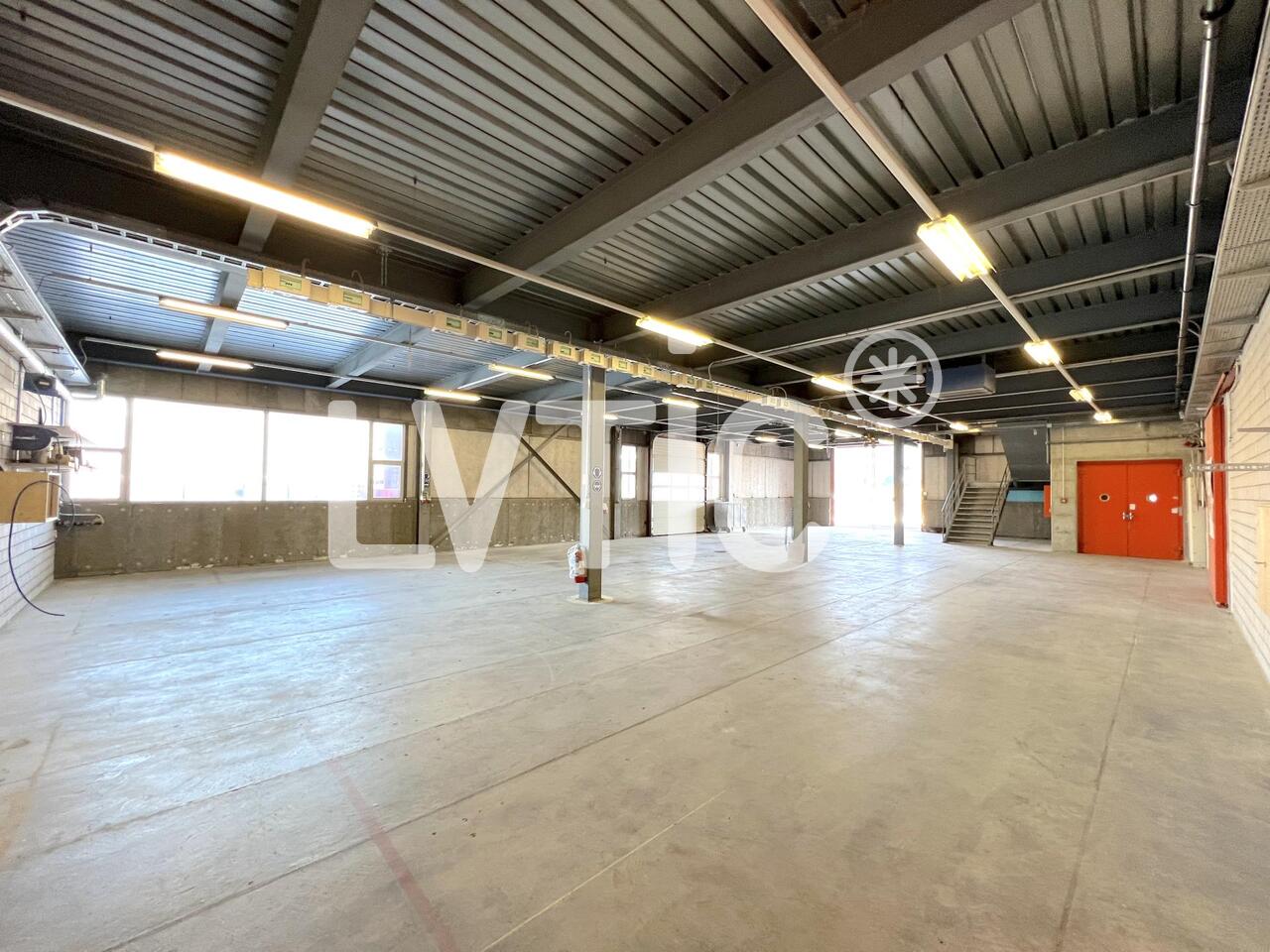 665m² oggetto industriale