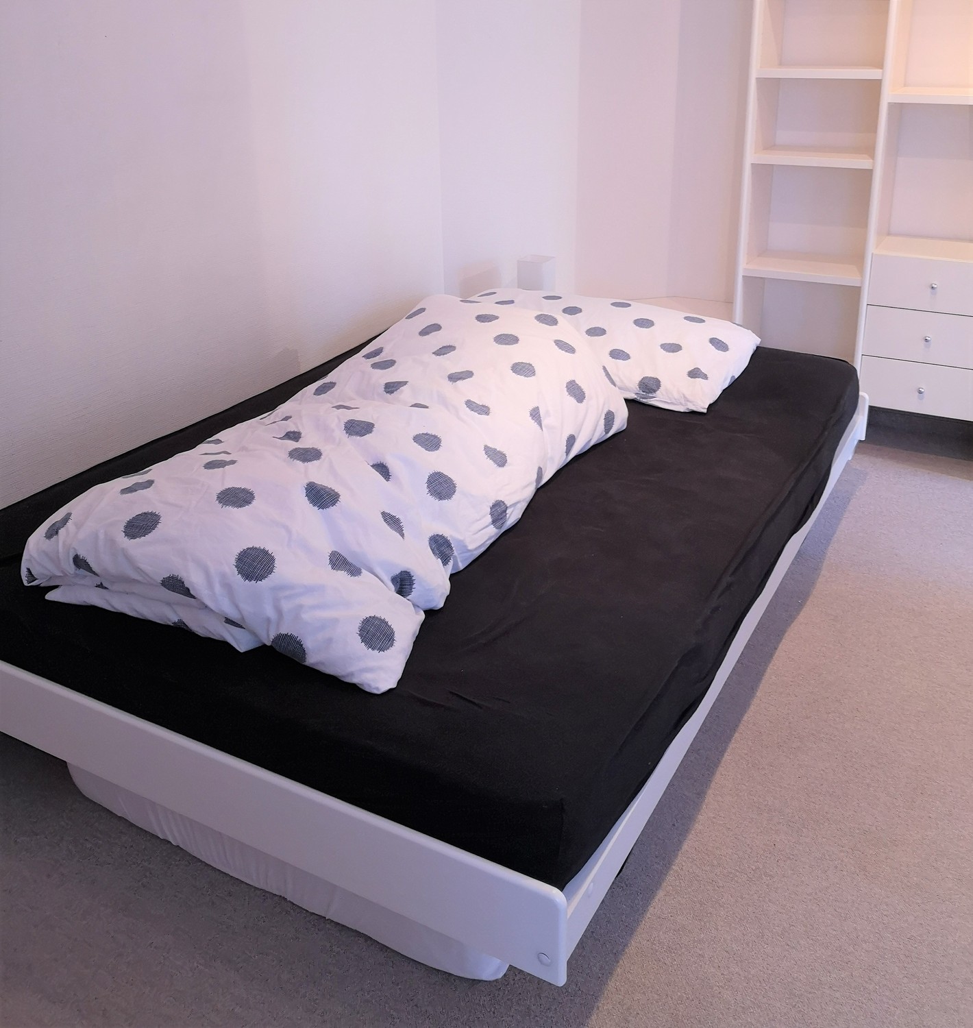 Appartement 1 pièce