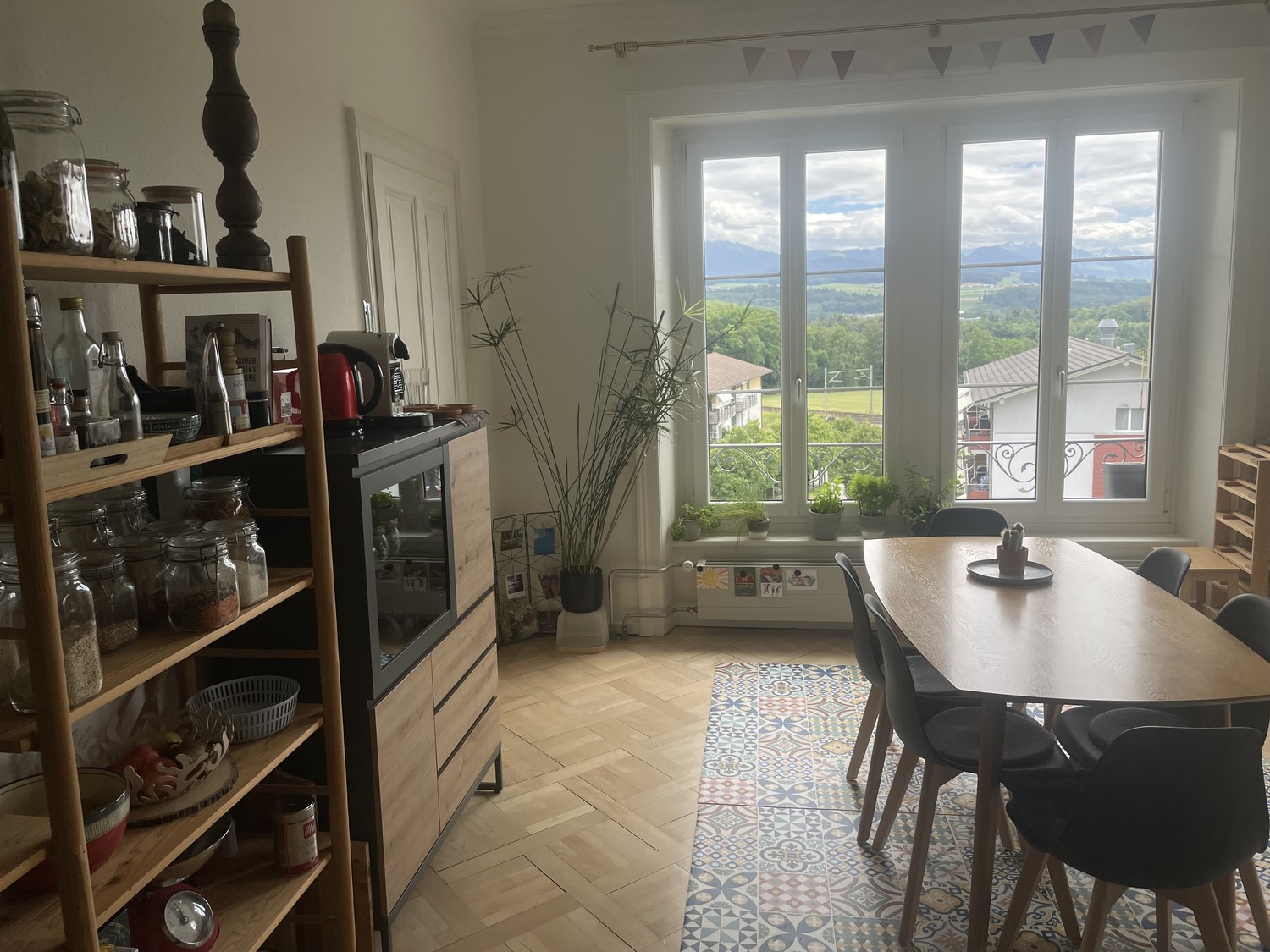 4 Zimmer Wohnung