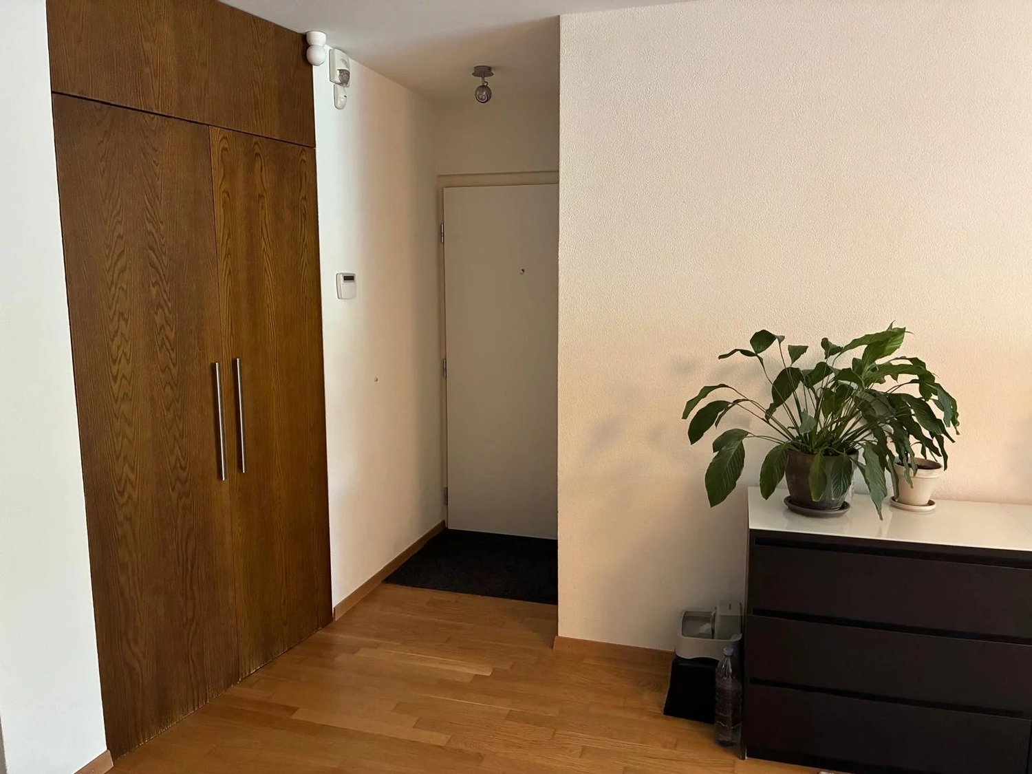 Appartamento di 4 ½ locali