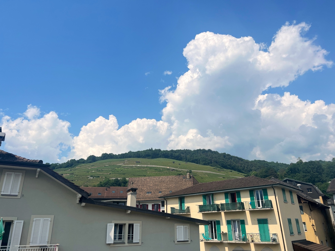appartamento di 3 locali