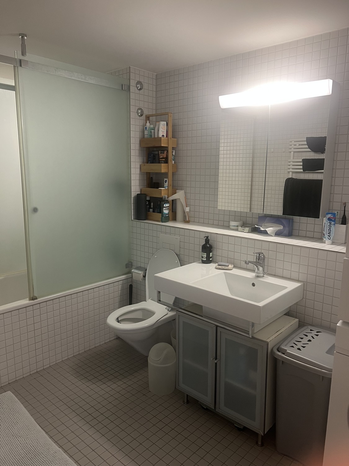 4 ½ rooms apartment