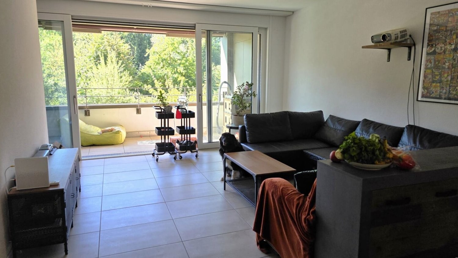 3 ½ Zimmer-Wohnung