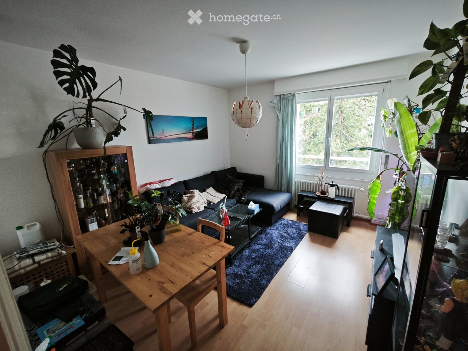 3 ½ rooms apartment