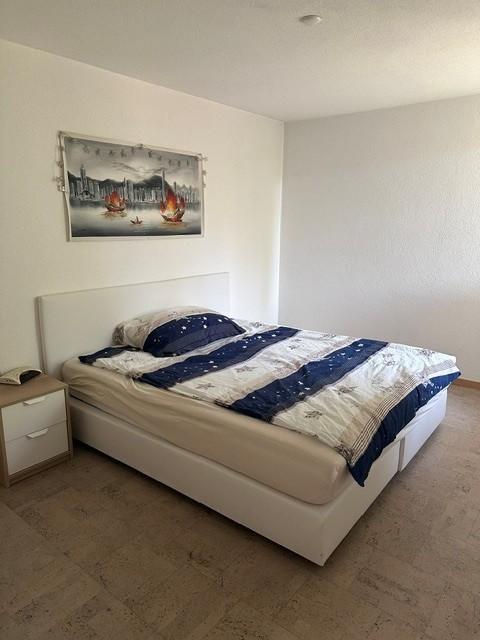 Appartamento di 4 ½ locali