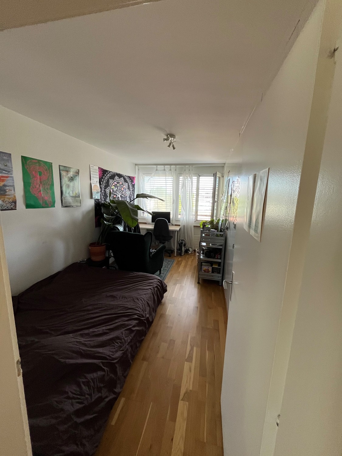 Room in a shared flat