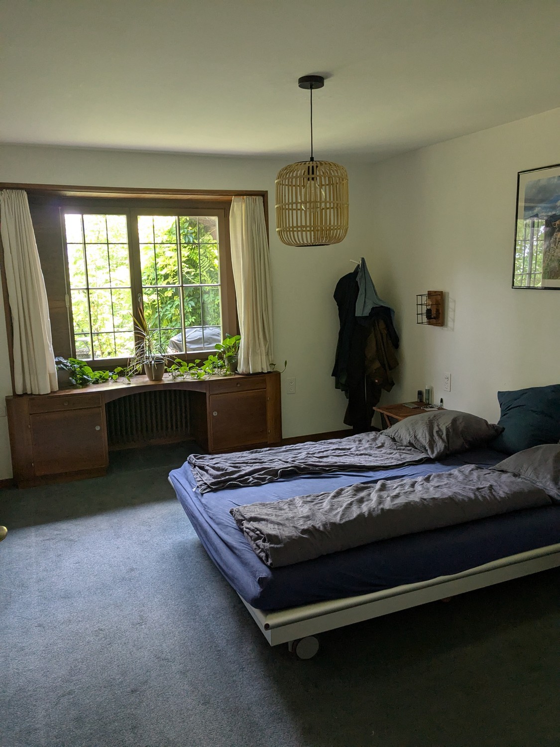 Room in a shared flat