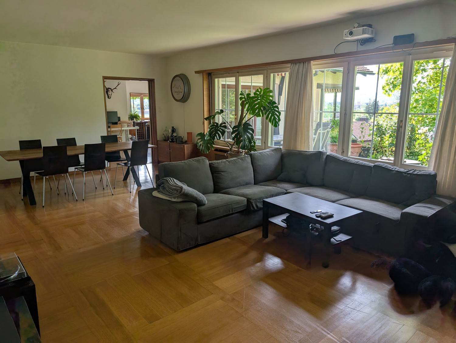 Room in a shared flat