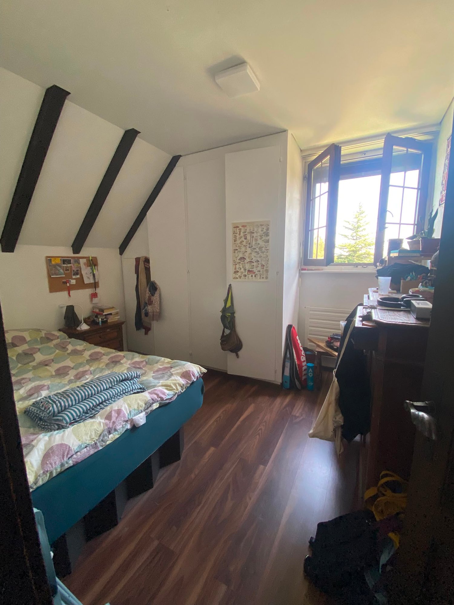 Room in a shared flat