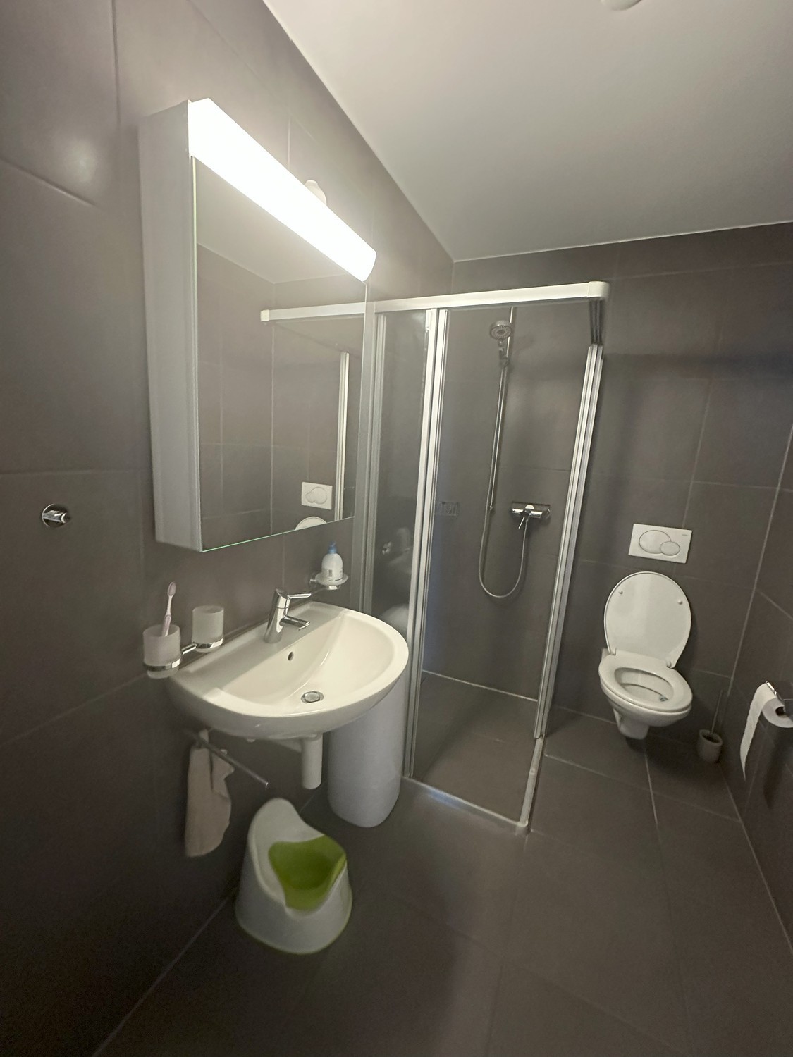 4 ½ rooms apartment