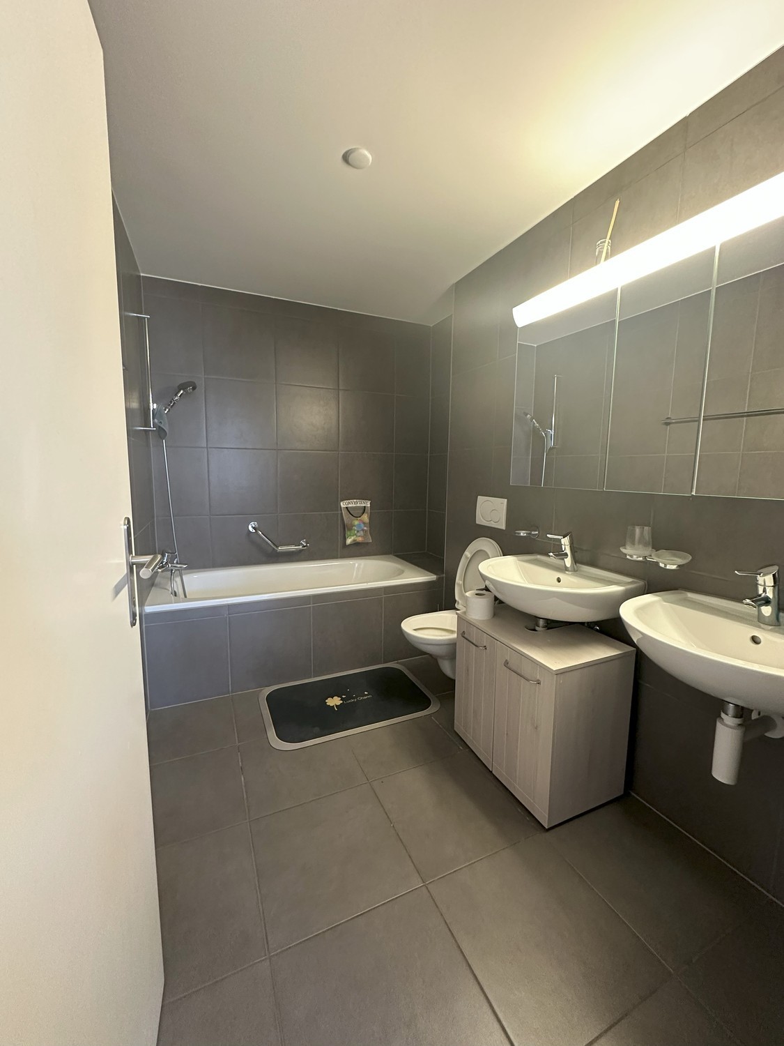 4 ½ rooms apartment