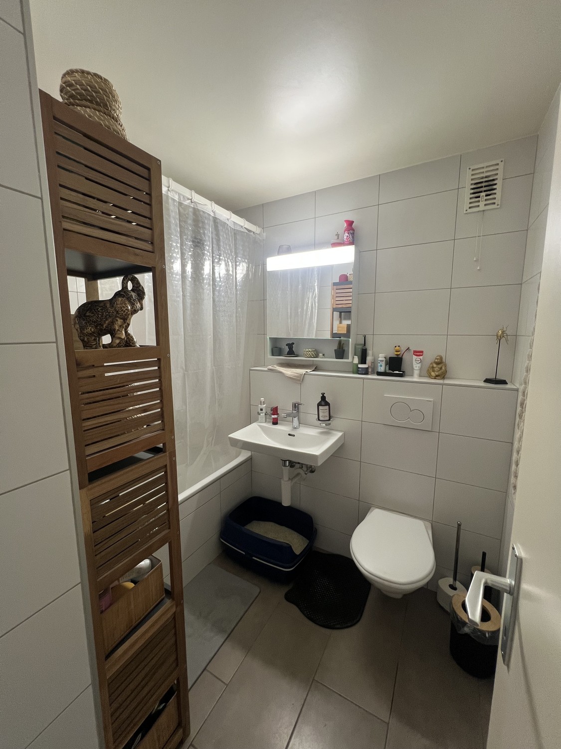 3 ½ Zimmer Wohnung