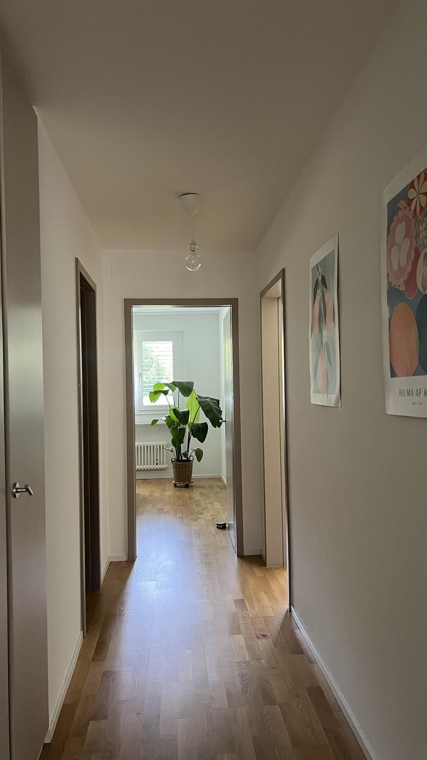 Appartamento di 4 ½ locali