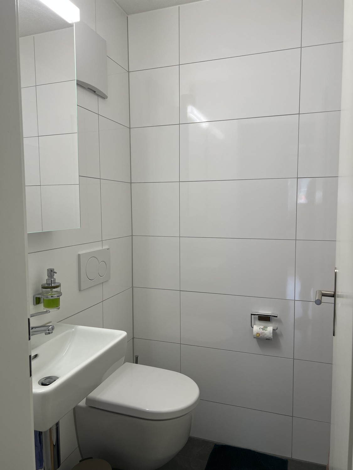 appartamento di 4 ½ locali