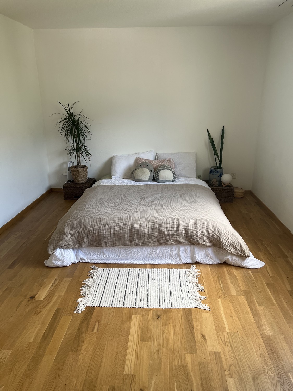 appartamento di 4 ½ locali