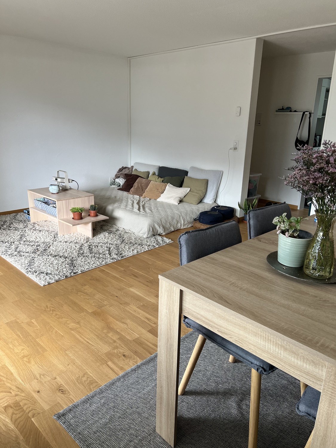 appartamento di 4 ½ locali