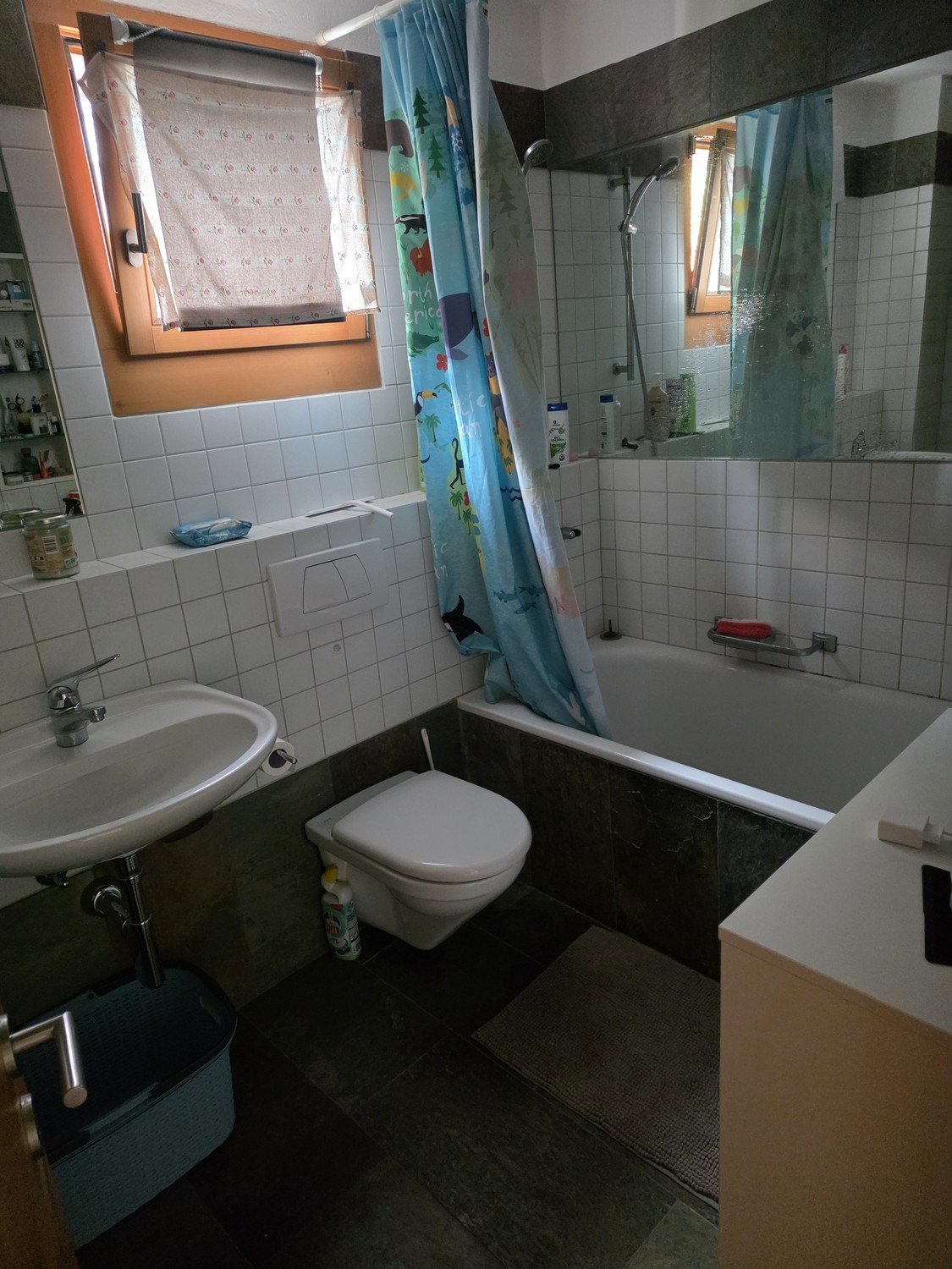 Appartamento di 2 ½ locali