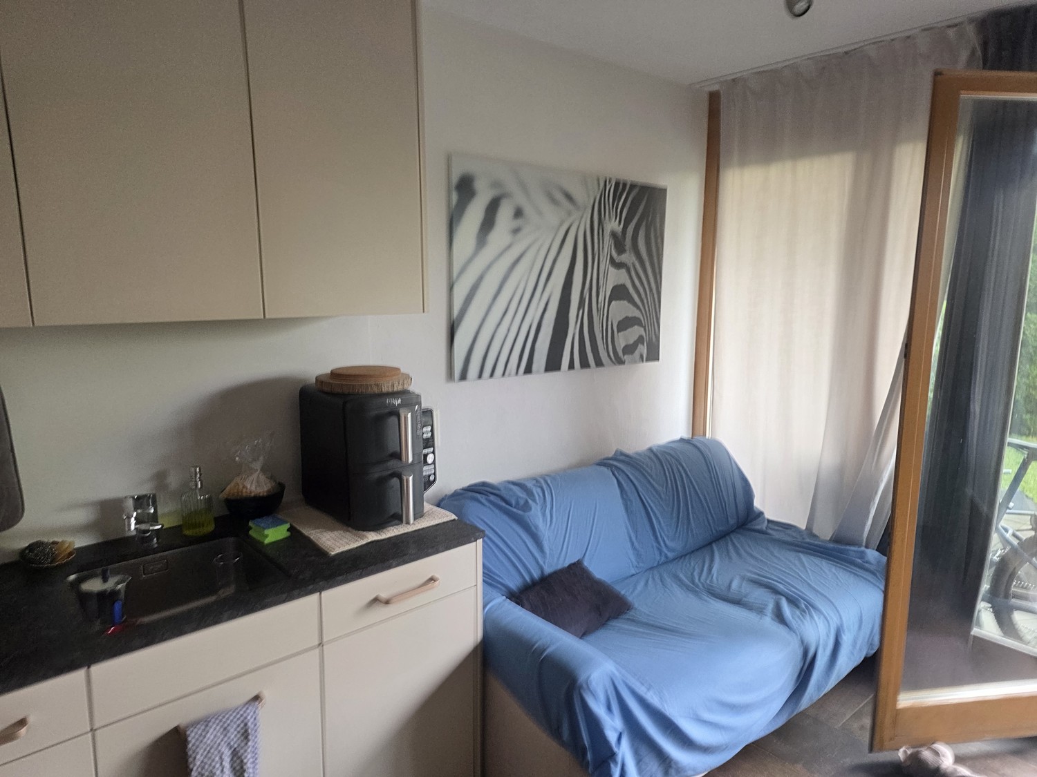 Appartamento di 2 ½ locali