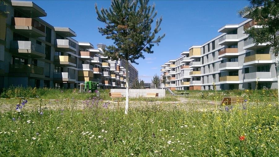 3 ½ locali attico