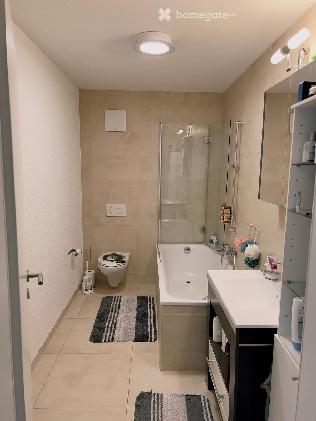 4 ½ Zimmer Wohnung