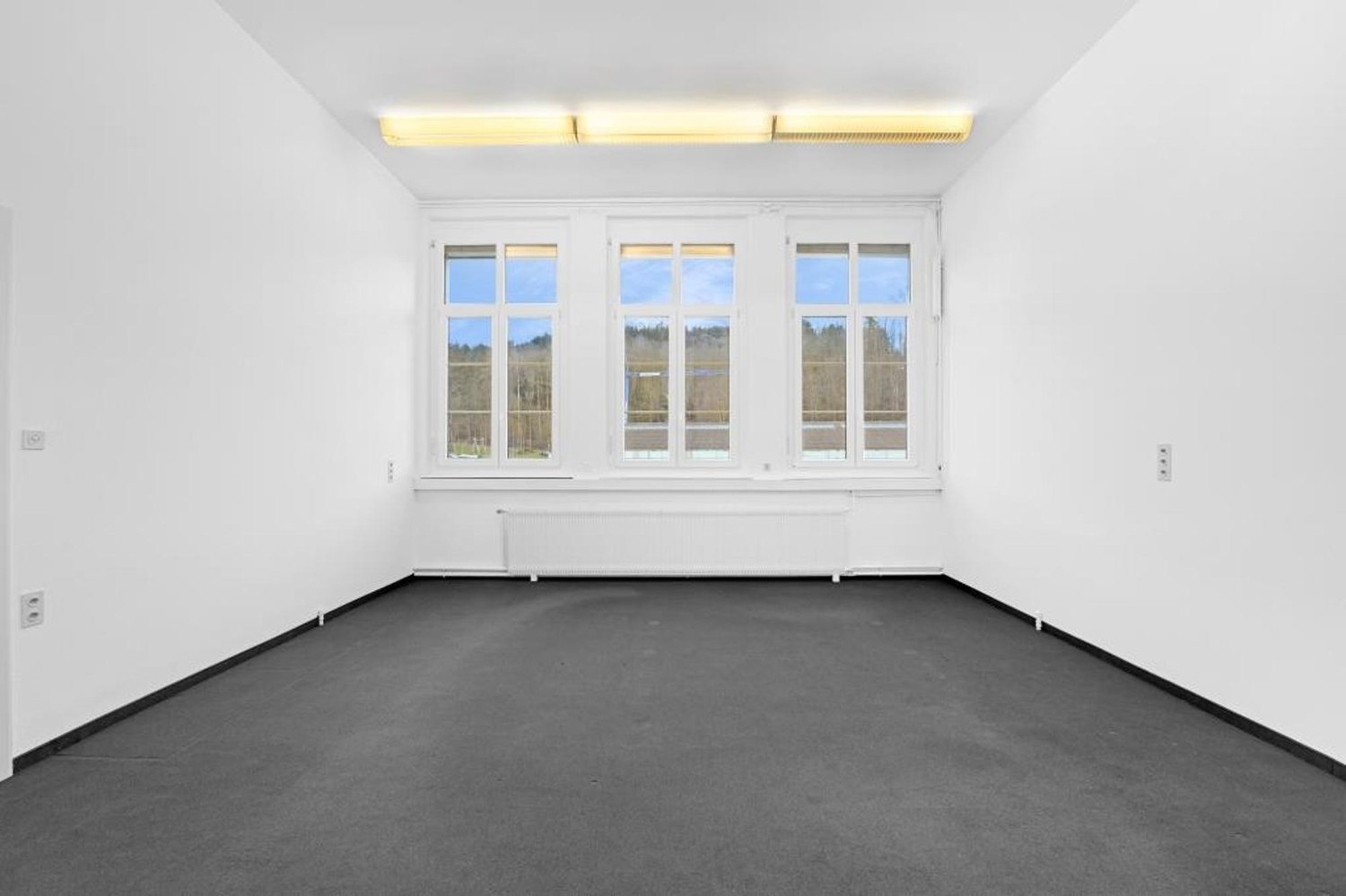 50m² office
