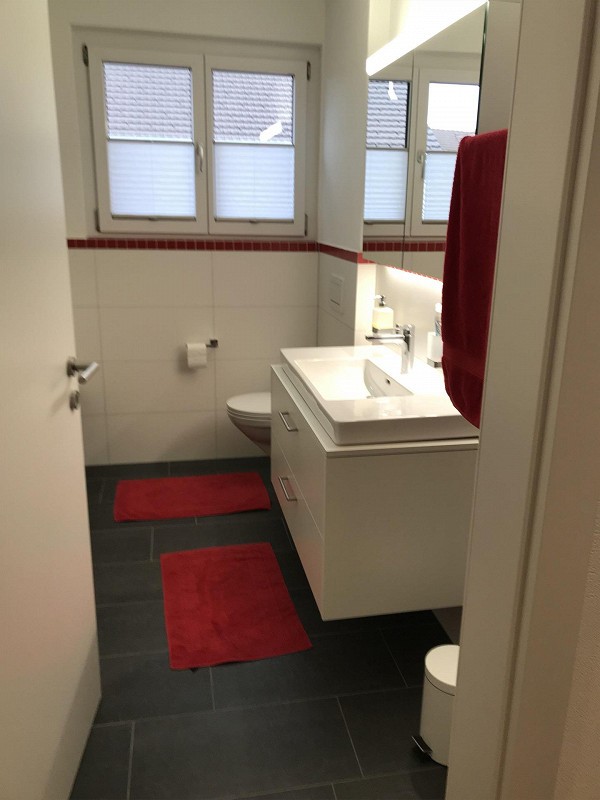 Appartamento di 4 ½ locali
