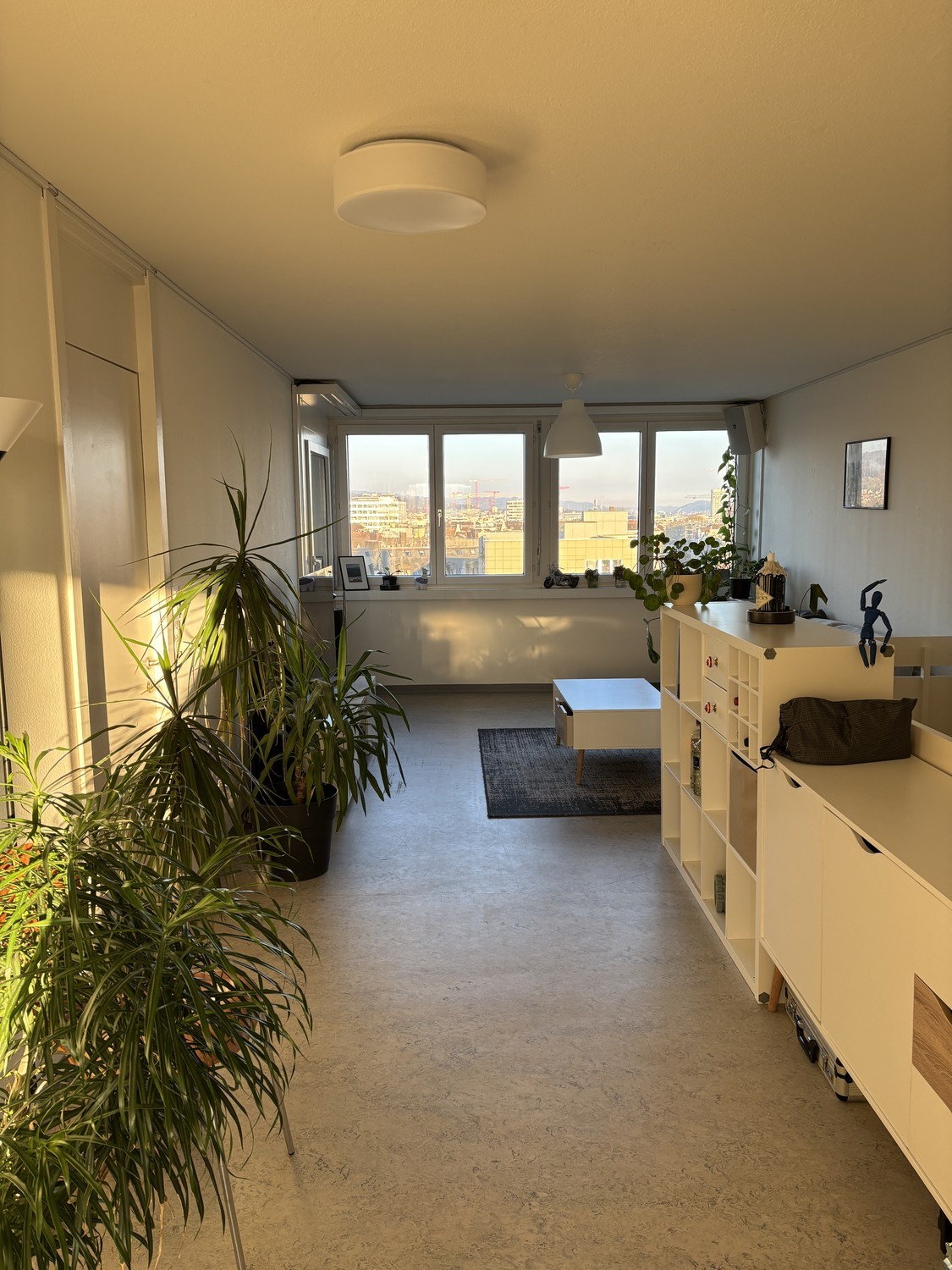 Room in a shared flat