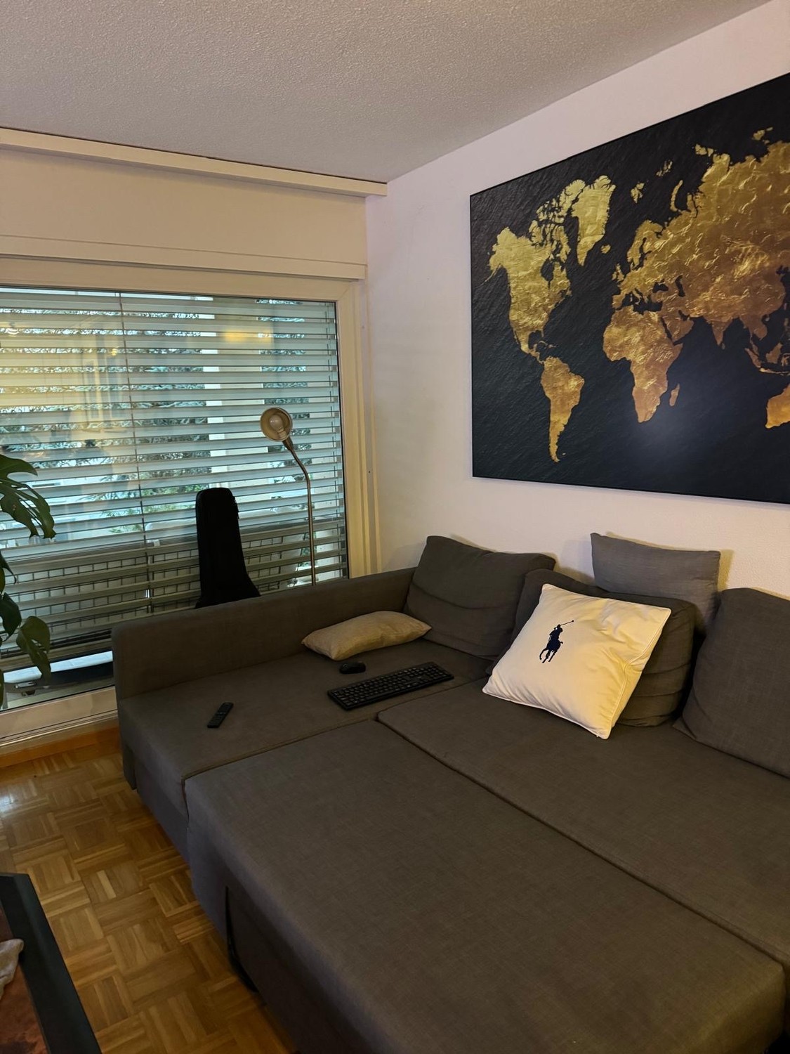 Room in a shared flat
